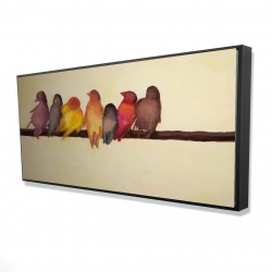 Famille d'oiseaux