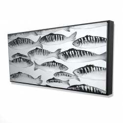 Banc de poisson gris