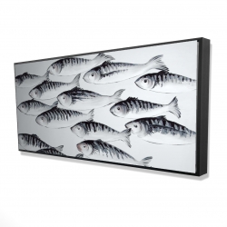 Banc de poisson gris