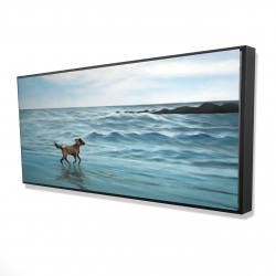 Dog on the beach