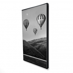 Air balloon landscape