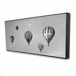 Air balloon landscape