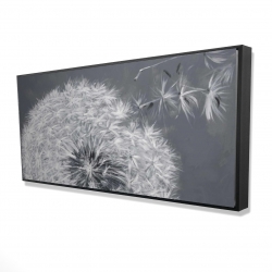 Blowing dandelion