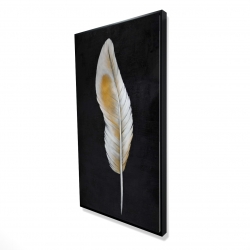Plume