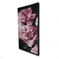 Pivoines roses