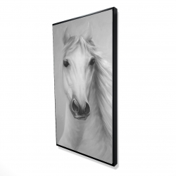 Cheval blanc puissant monochrome