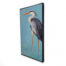 Grey heron