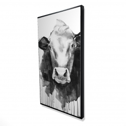 Vache