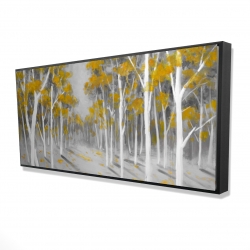 Yellow birch forest