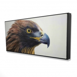 Brown-headed eagle