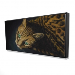 Bengal cat