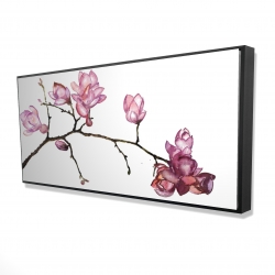 Branch of cherry blossoms