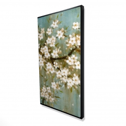 White cherry blossom