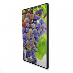 Bunch of grapes