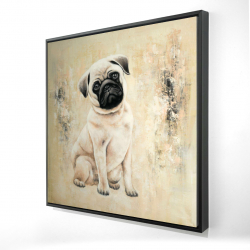 Small pug dog