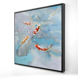 Koi fish swimming in blue water