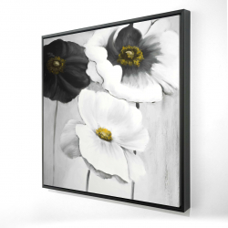 Assortiments de fleurs blanches