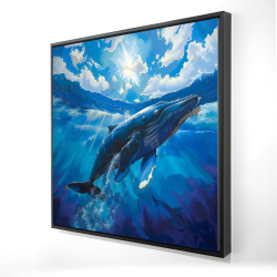 Swimming whale