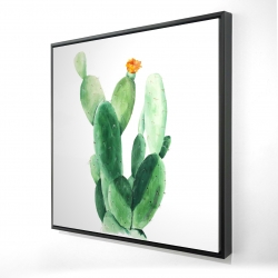 Cactus en fleuraison