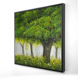 Forêt en été