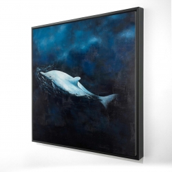 Swimming dolphin