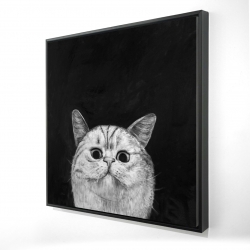 Watching cat