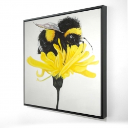 Bumblebee on a dandelion