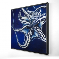 Dancing octopus