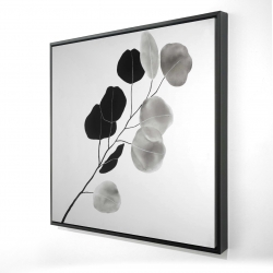 Branche en tons de gris et feuilles rondes