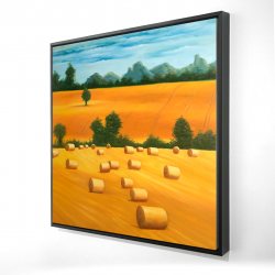 Hay bale fields