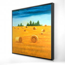 Paysage de la campagne