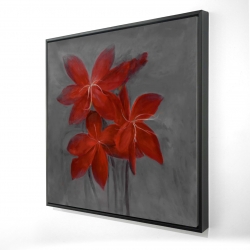 Asiatic lily