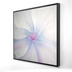 Petals