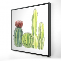 Quatre petits cactus