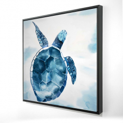 Tortue bleu