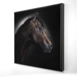 Cheval solitude