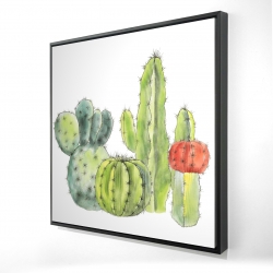 Rassemblement de petits cactus
