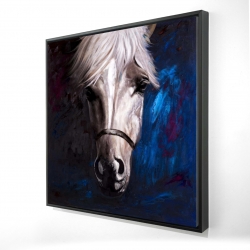 Cheval blanc sur fond bleu