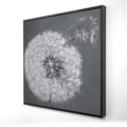 Blowing dandelion
