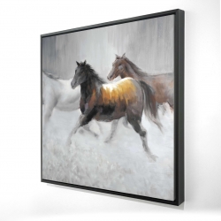 Troupeau de chevaux sauvages