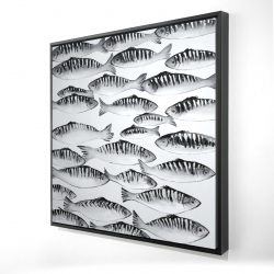 Banc de poisson gris