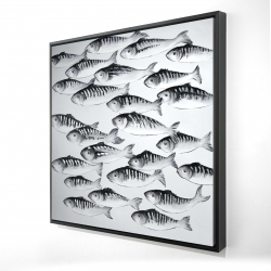 Banc de poisson gris