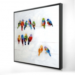 Oiseaux colorés sur des fils