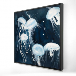 Meduses