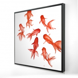Poissons rouge