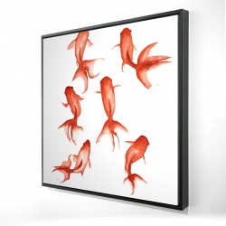 Petits poissons rouge