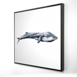 Baleine en aquarelle