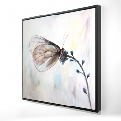 Papillon sur fleurs bleues