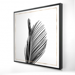 Areca palm with gold line