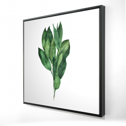 Bouquet de feuilles de laurier
